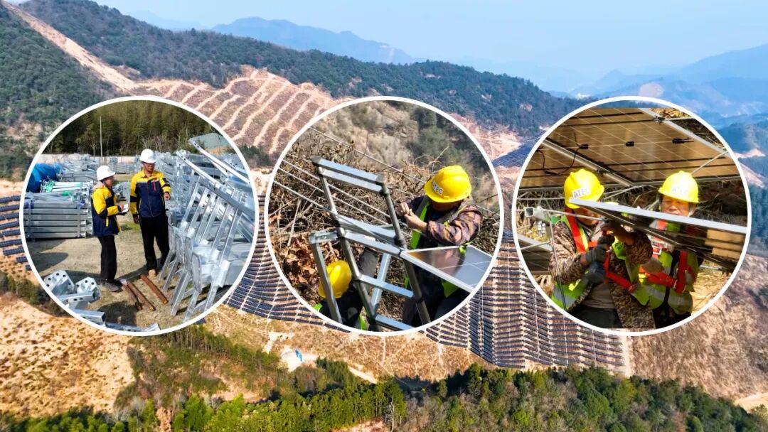 全力以赴 | 桐庐县合村乡80MW/120MWp农光互补共富示范项目与时间赛跑(图6)