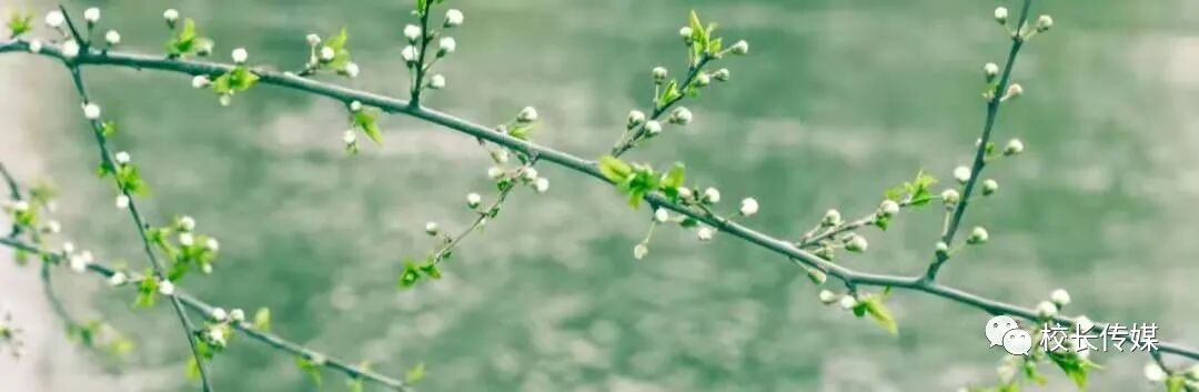 德业并进 行稳致远——中层干部培训学习体会