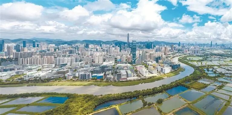 粤港澳三地代表委员共话大湾区发展