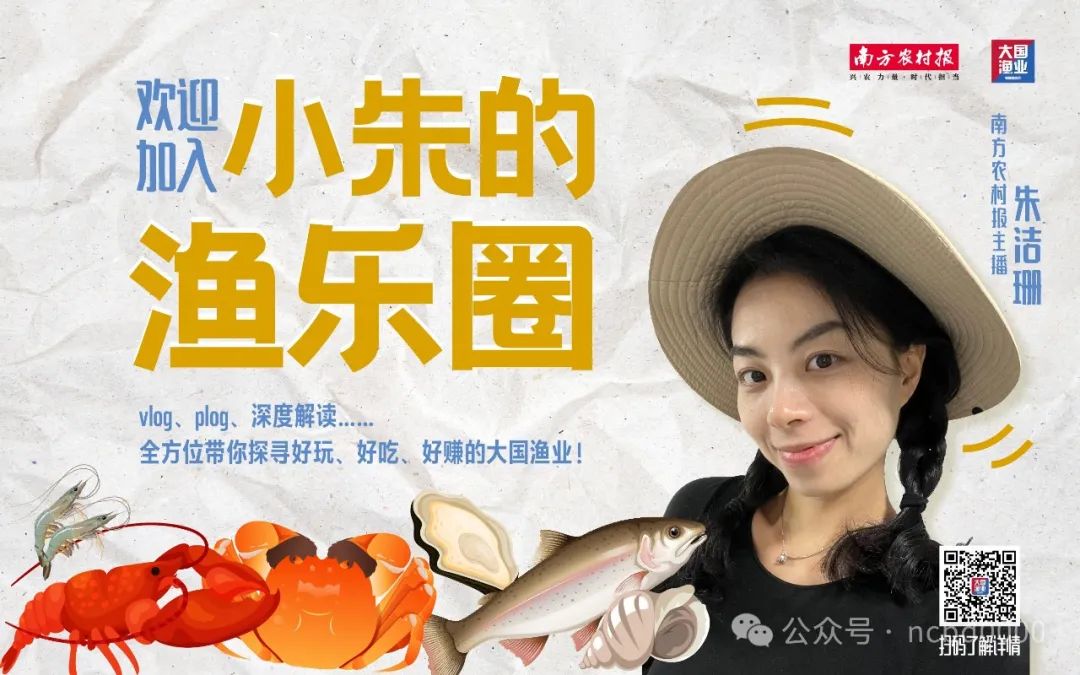 桦加沙狂袭阳江 湖面翻腾树木狂舞