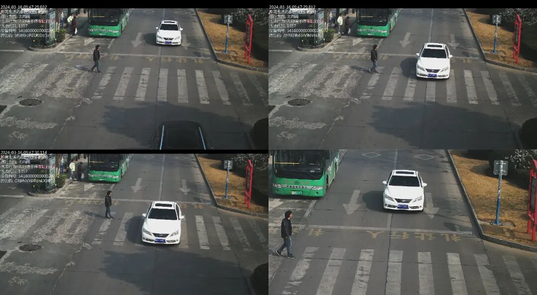 未礼让行人这些车被抓拍