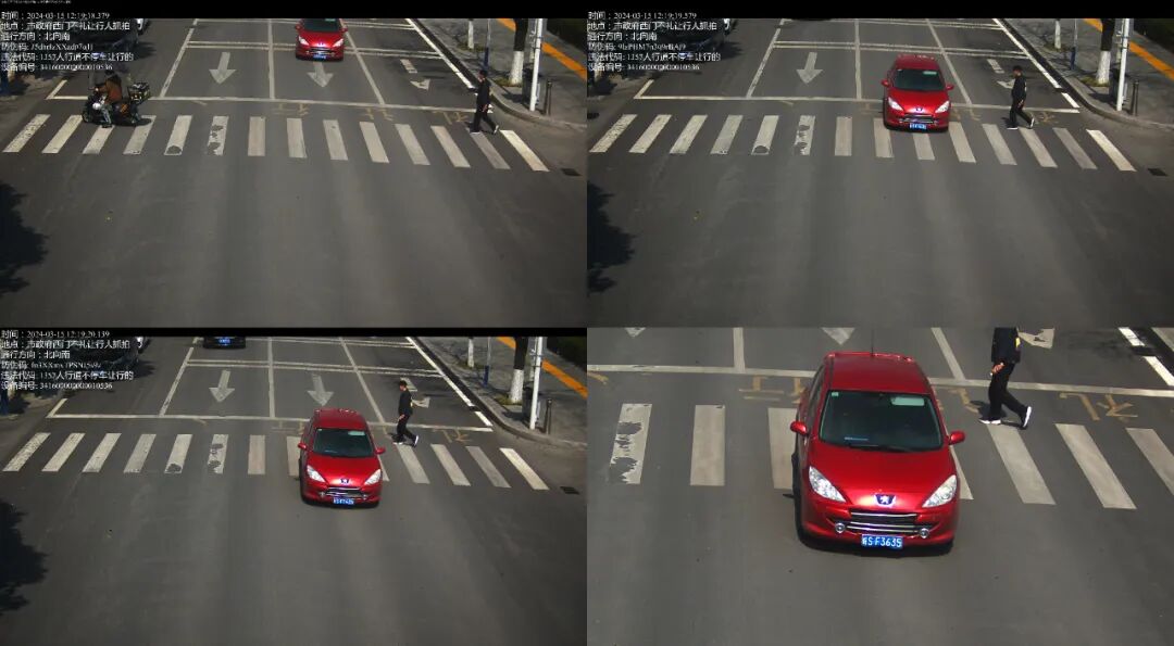 未礼让行人这些车被抓拍