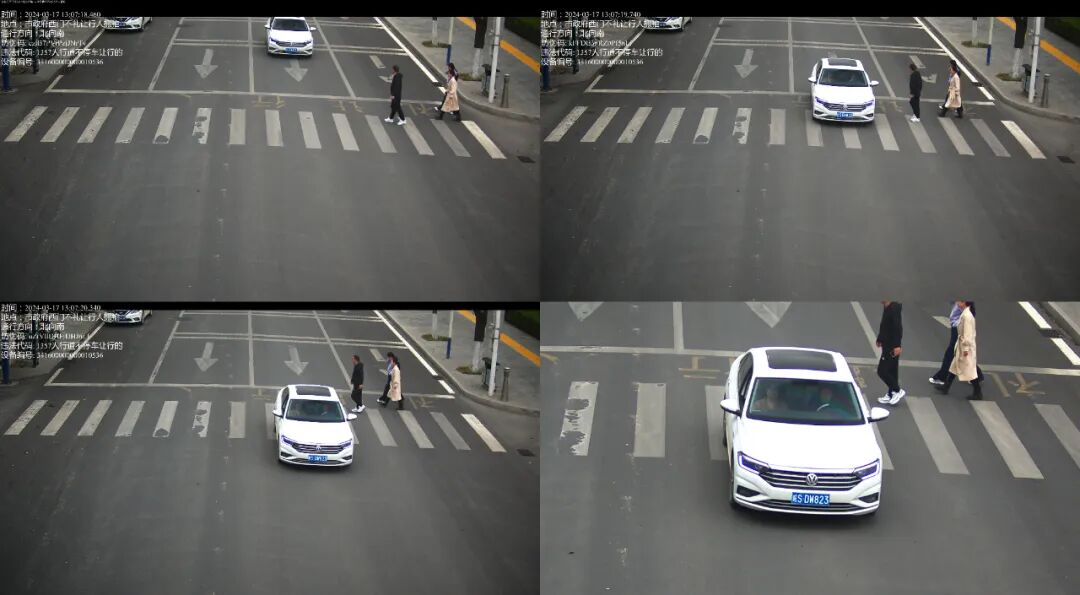 未礼让行人这些车被抓拍