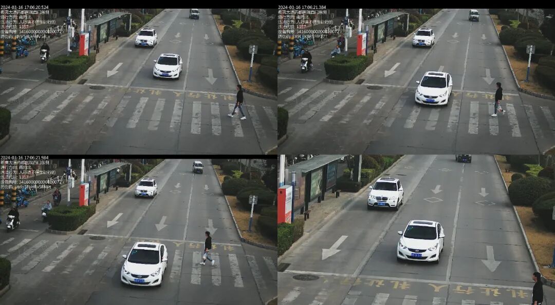 未礼让行人这些车被抓拍