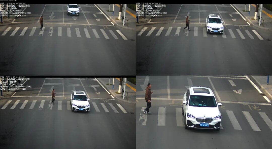 未礼让行人这些车被抓拍