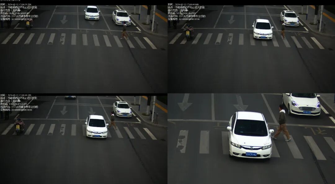 未礼让行人这些车被抓拍