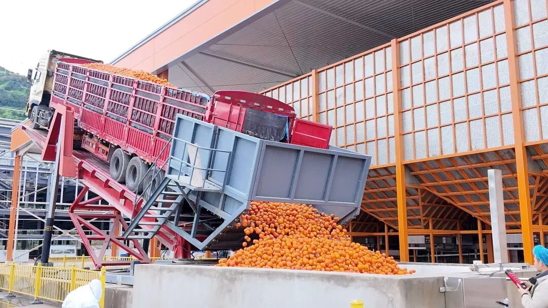 汇源集团开足马力满负荷生产。记者李蕾摄。 (2).jpg