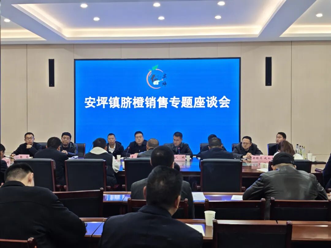 召开脐橙销售专题座谈会。安坪镇供图.jpg