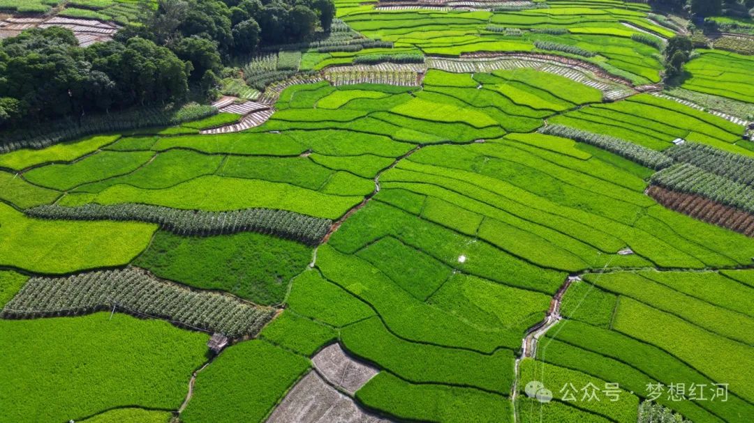 梦想红河