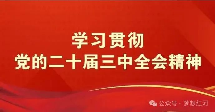 红河县未来24小时，阴有大雨的天气为主