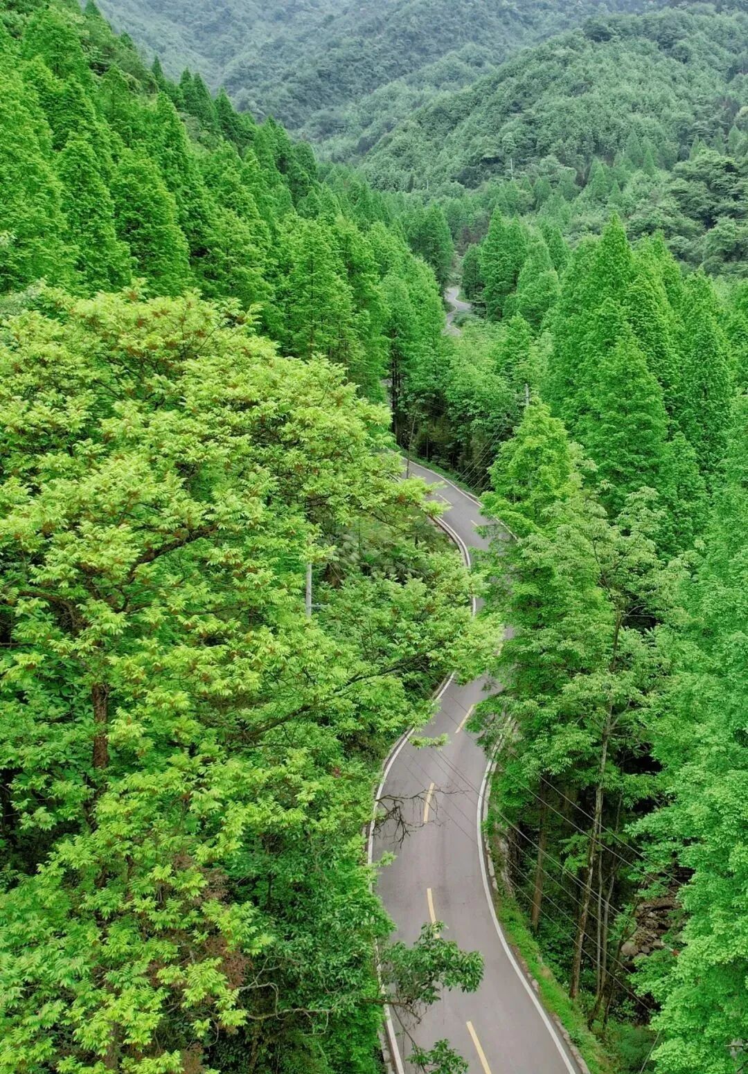 百花盛放夏日的青山叠翠四季更迭总能给人无限想象与期待都江堰游线三
