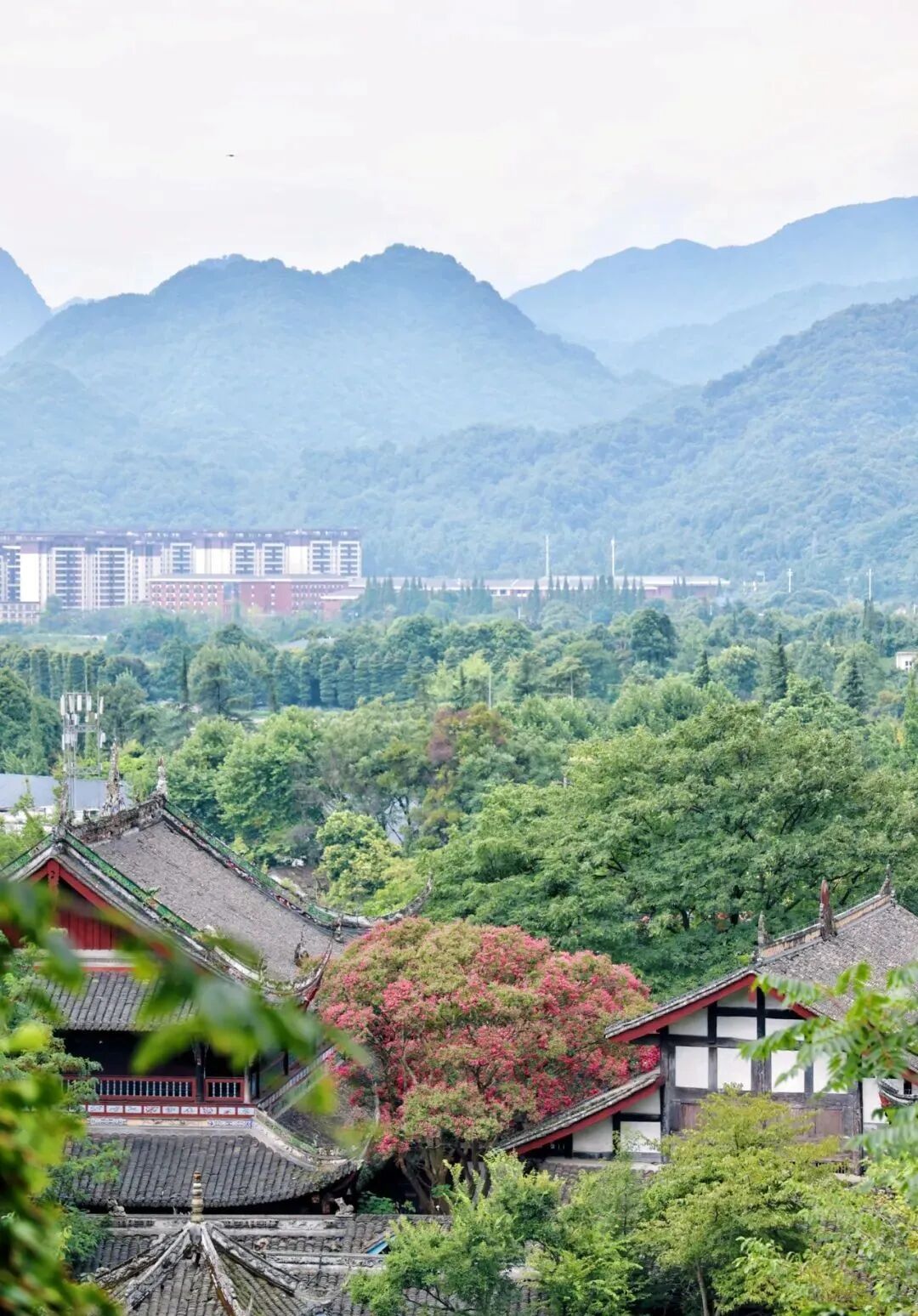 吹着山间,江边吹来的凉风与花草相遇,览独一无二的旖丽风景与自然零
