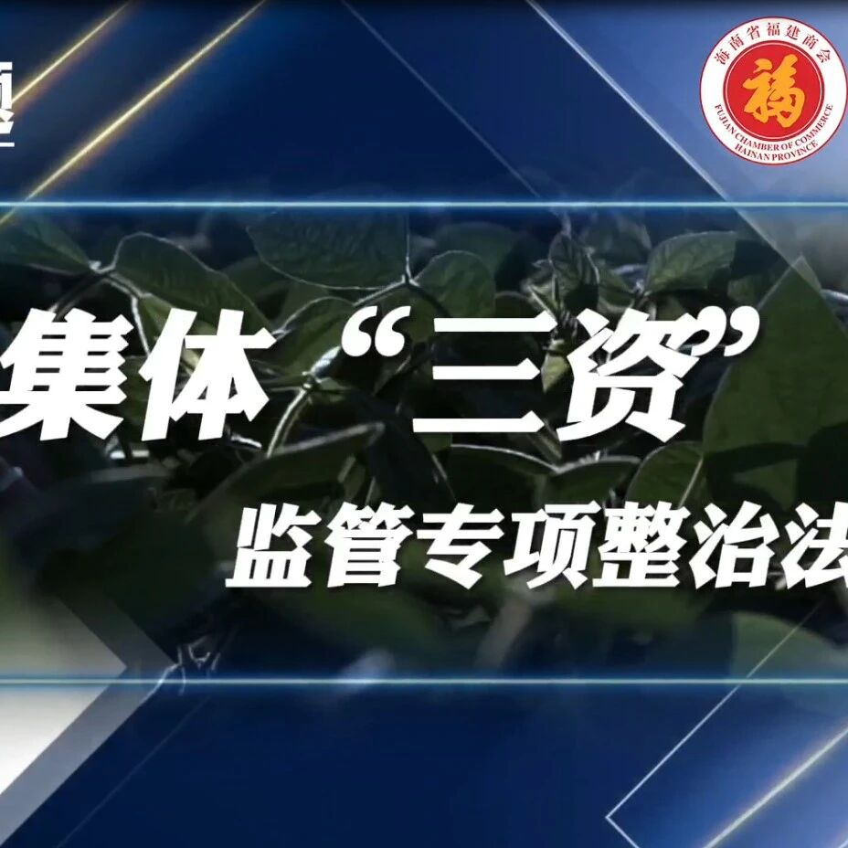 海南省福建商会