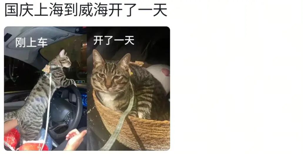 果然任何动物车坐久了都会憔悴