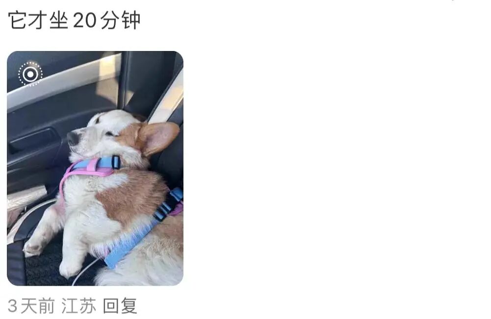 果然任何动物车坐久了都会憔悴