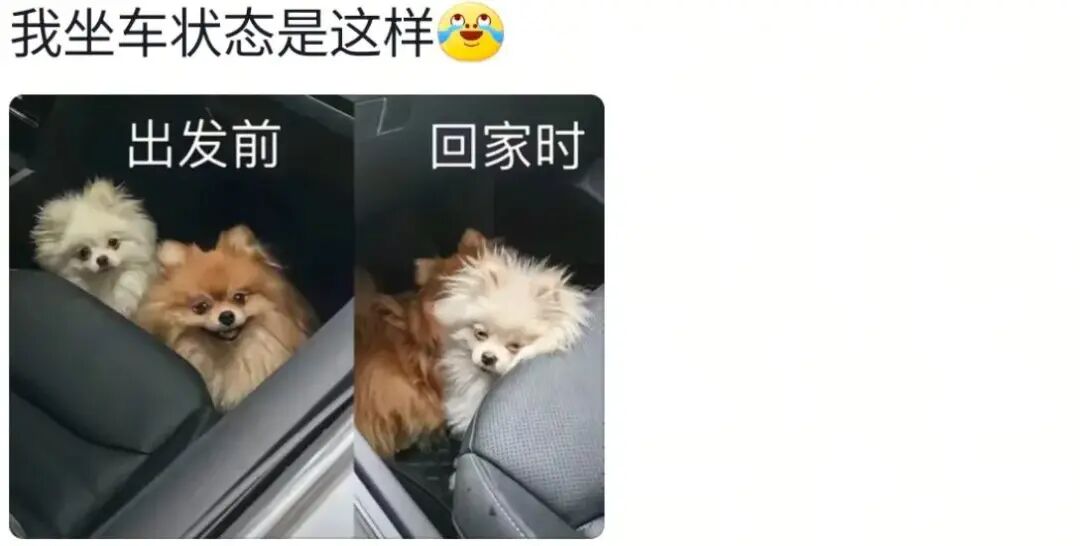 果然任何动物车坐久了都会憔悴