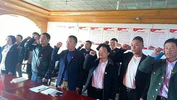 九龙镇党委举行新党员集中入党宣誓仪式