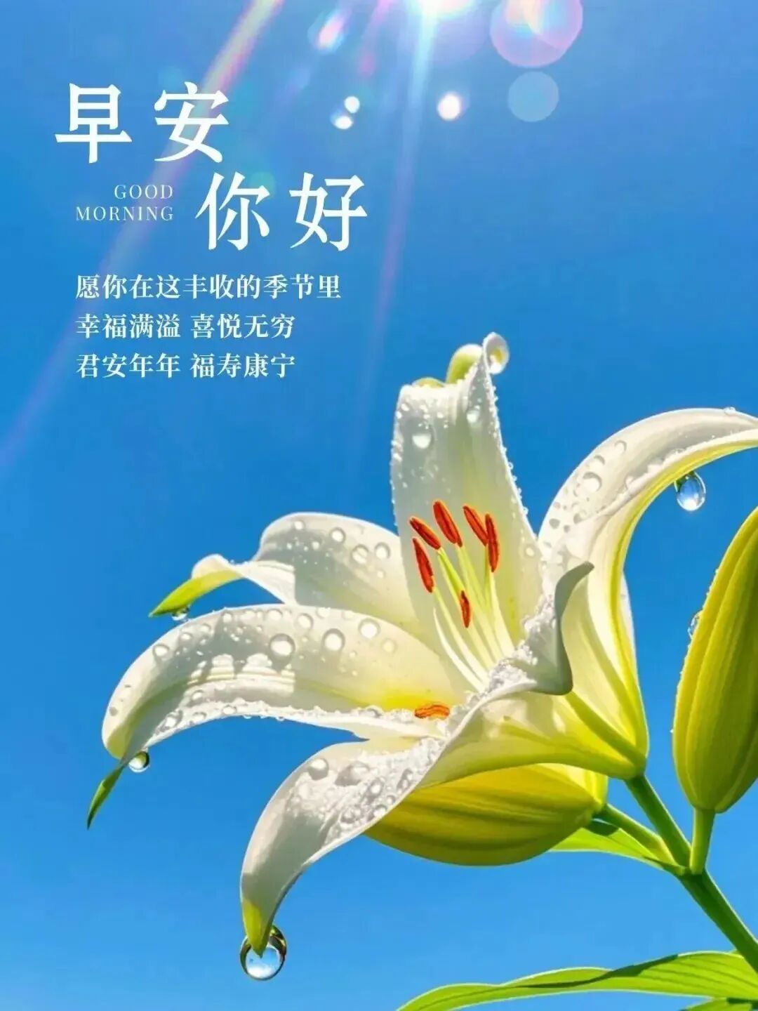 18句今天最新早上好精选祝福语,漂亮祝福,早安快乐!