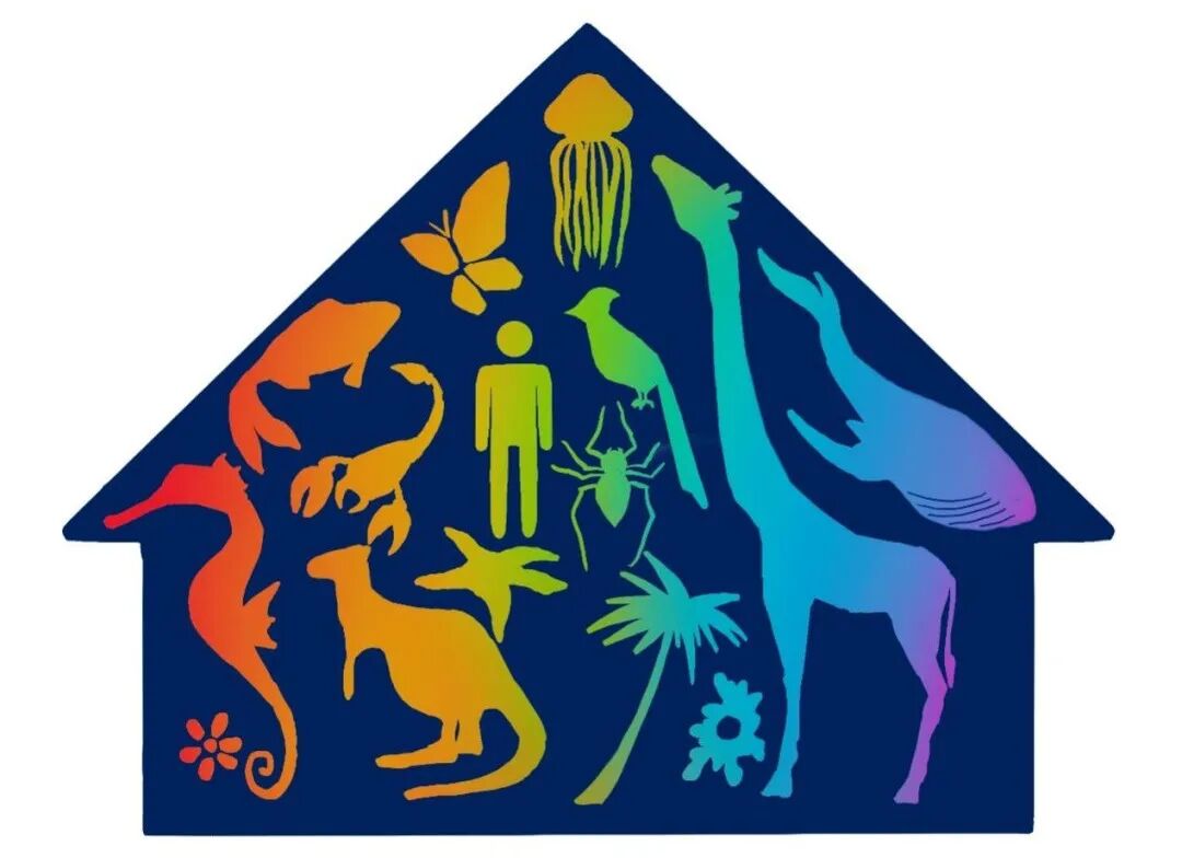 生物多样性为什么重要 终于有人说清楚了 全网搜