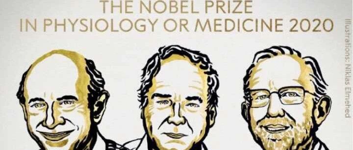 2020诺奖解读 | 新冠疫情下，丙肝病毒发现者获生理学或医学奖