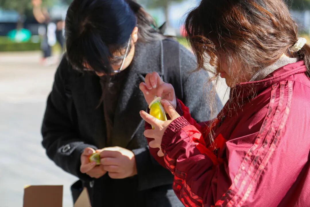 微信图片_20251204173743_70_13