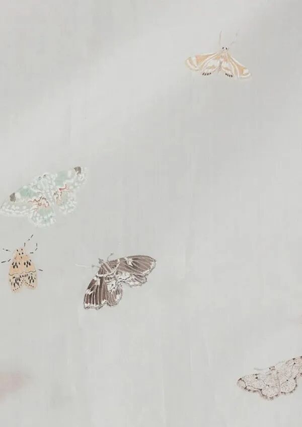 ink on silk  230x130cm  2022霓裳羽衣(正面)  rainbow and feather