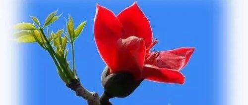 去搬砖？教师做微商被举报，纪委查处，教师惊问：那我们兼职能做什么呢？