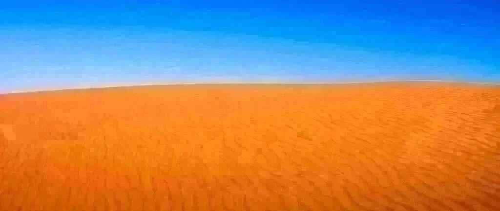 戏精：高考一结束，农村来的土猪就被父母开车接走了