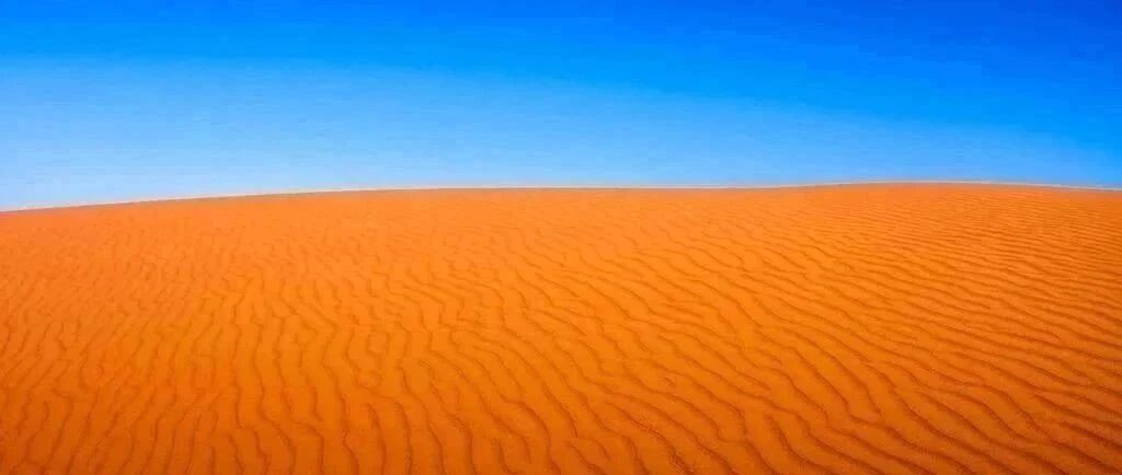 ​ “不幸消息传来！这次我囯损失巨大”！背后真相令人痛心不已......