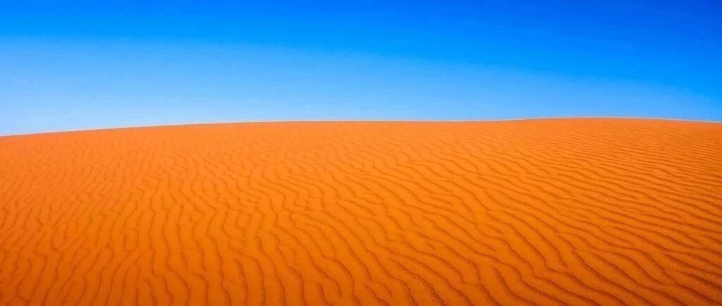 下降！2020高考本科分数线预测