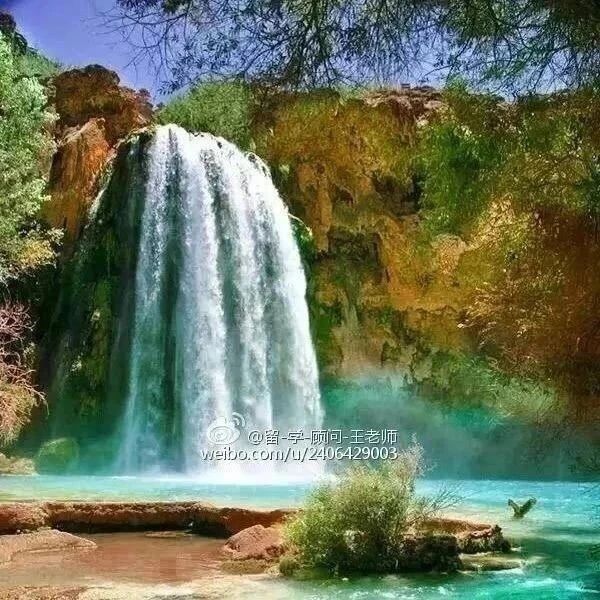 男生高考600多分却不想读大学？只因爸爸向邻居炫耀成绩……