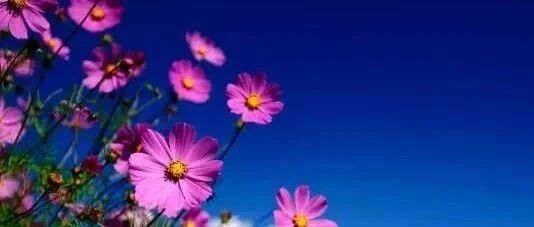 中国冥币爆红全球！老外：这么好的东西竟然一直藏着不让我们知道！