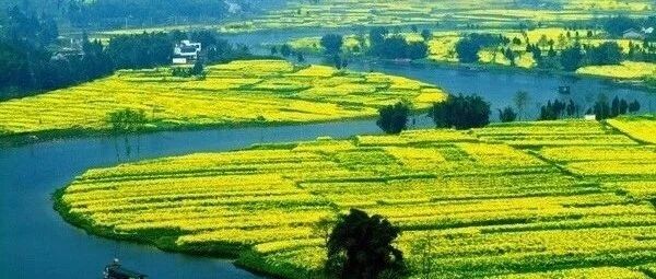 在中国, 能考上一本究竟意味着什么? 看完我能学到凌晨3点！