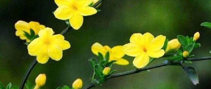 心寒！河北一学生因偷东西被班主任批评后跳楼身亡，家长索赔150万！中国教育最可悲的是：家长舍不得管，老师不敢管！