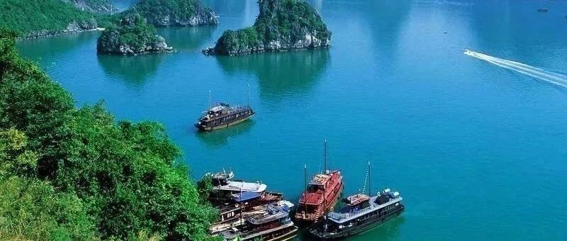 死期已到！滚回美国！高调炫富，坑爹的“大小姐许可馨”要"横空出世"了