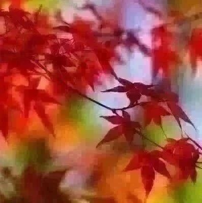 清华才女武亦姝家教曝光：优秀的背后，都离不开有这些格局的父母