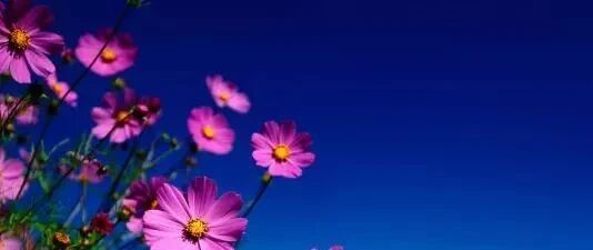 “爸爸，我宁愿你找个保姆”12岁女儿写给父亲的信，刷爆了朋友圈！