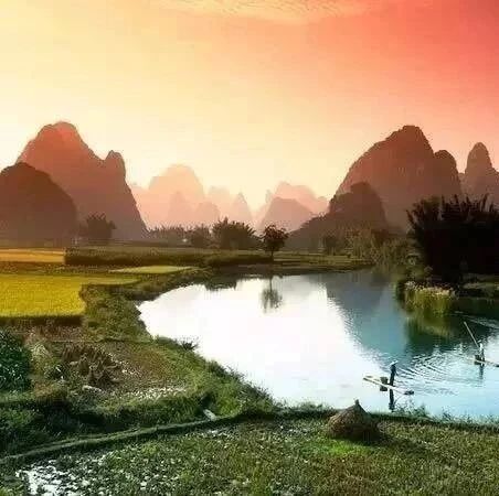 放弃了语文6分默写的人，后来怎么样了？