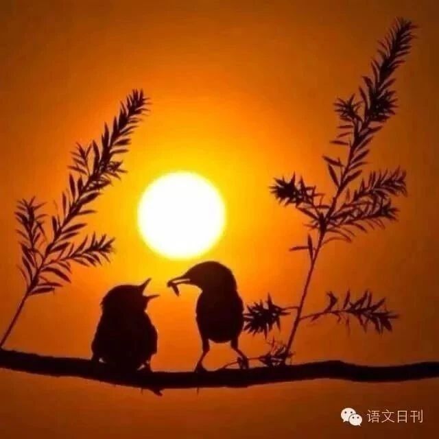 致孩子: 学校不是你混日子的地方! 当你累了, 请想想这3个人