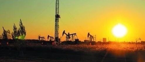 我们终将死在自己学生的手里......