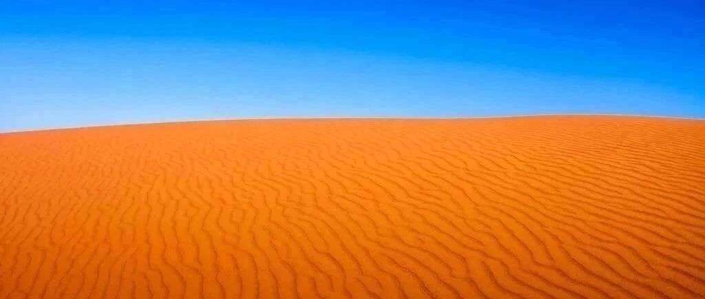 填报志愿太难？ 省考试院硬核亲处带你解锁“平行志愿”， 看完秒懂