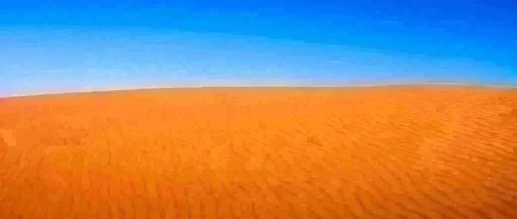 2021年高考再次证明：小学欠下的“阅读账”，迟早是要还的！（请转给家长）