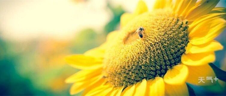 21岁女孩晨跑遇害，嫌疑犯系41岁中年男子，疑似熟人作案