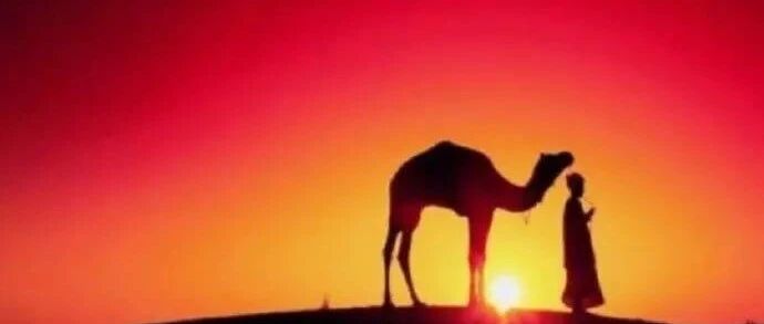 “老师，回个微信很难吗？”老师的回答亮了：不为难老师，不打扰教育，就是对孩子最好的支持