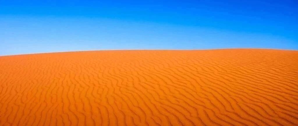 江西安徽湖南河北等10省2020高考分数线公布，附各省一分一段表，填志愿就靠它