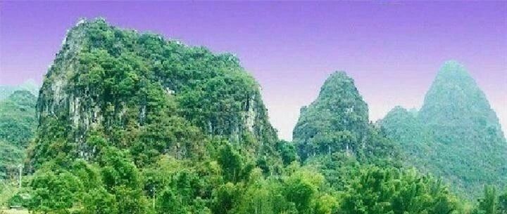 各省状元都请让一让！这位727分全国第一名！某校高考“考砸”，家长愤怒堵门举牌：校长下课！