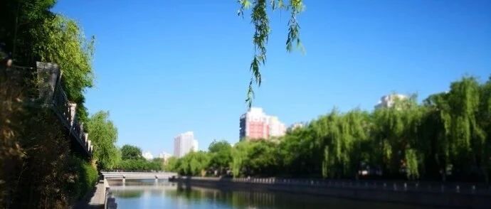 东航MU583空难亲历者的自述：九死一生，噩梦一场！