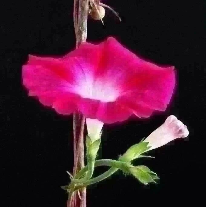 最新！放假通知来了！广东最早放假的是...