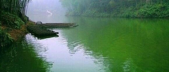 年仅38岁，“东方神童”魏永康病逝！4岁学完初中课程，17岁成中科院研究生，20岁遭学校劝退