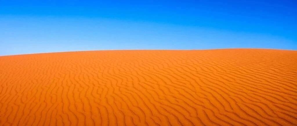 2020高考蒙题技巧大全